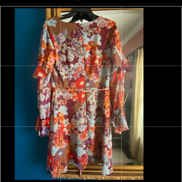 Adrianna Papell w/ additional ruffle on long sleeve dress. With Spaghetti belt. - Picture 4 of 5